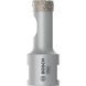 Алмазна коронка Bosch Diamond for Hard Ceramics, діаметр 19 мм 2608587113 фото 1