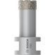 Алмазна коронка Bosch PRO Dry Speed, діаметр 20 мм 2608587115 фото 1
